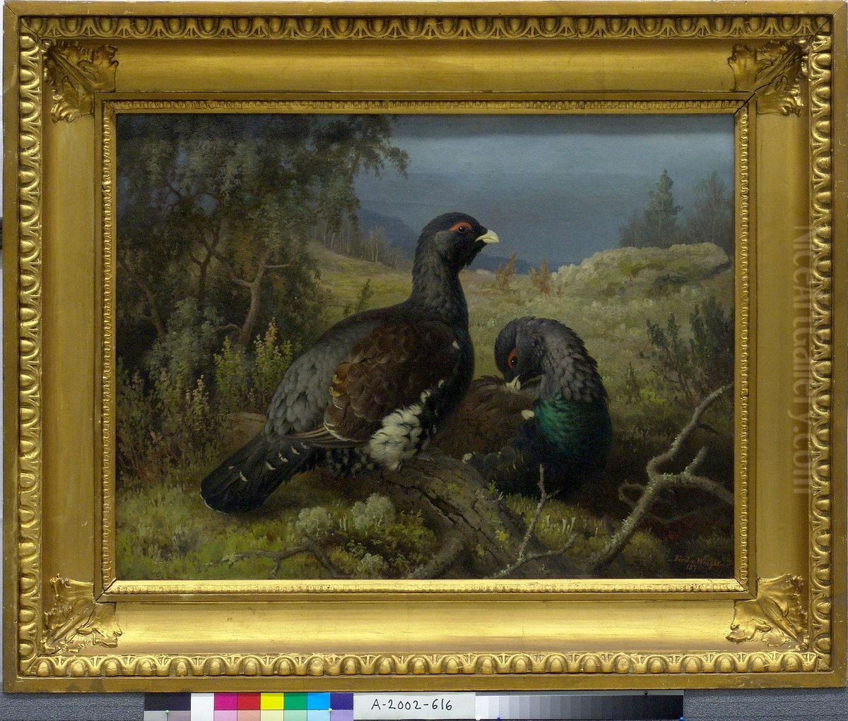 Capercaillie Cocks Oil Painting by Ferdinand von Wright