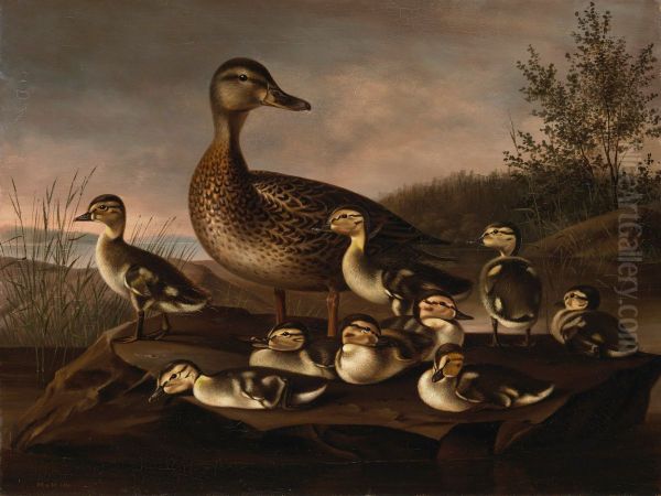 Mallard Ducklings Oil Painting by Magnus Von Wright