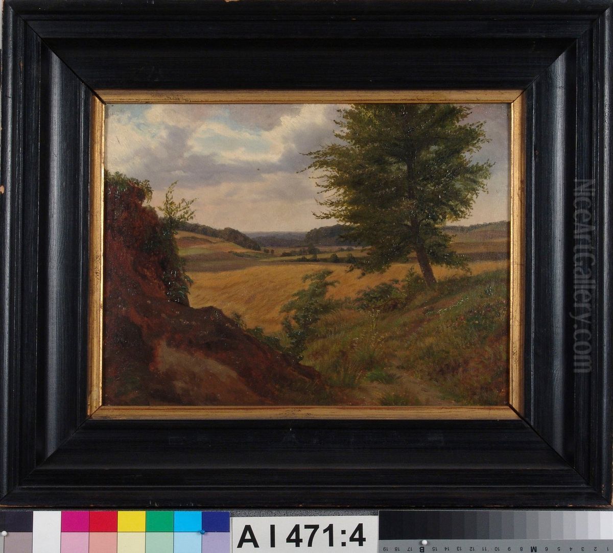 Tree in Field Landscape, Study Oil Painting by Werner Holmberg