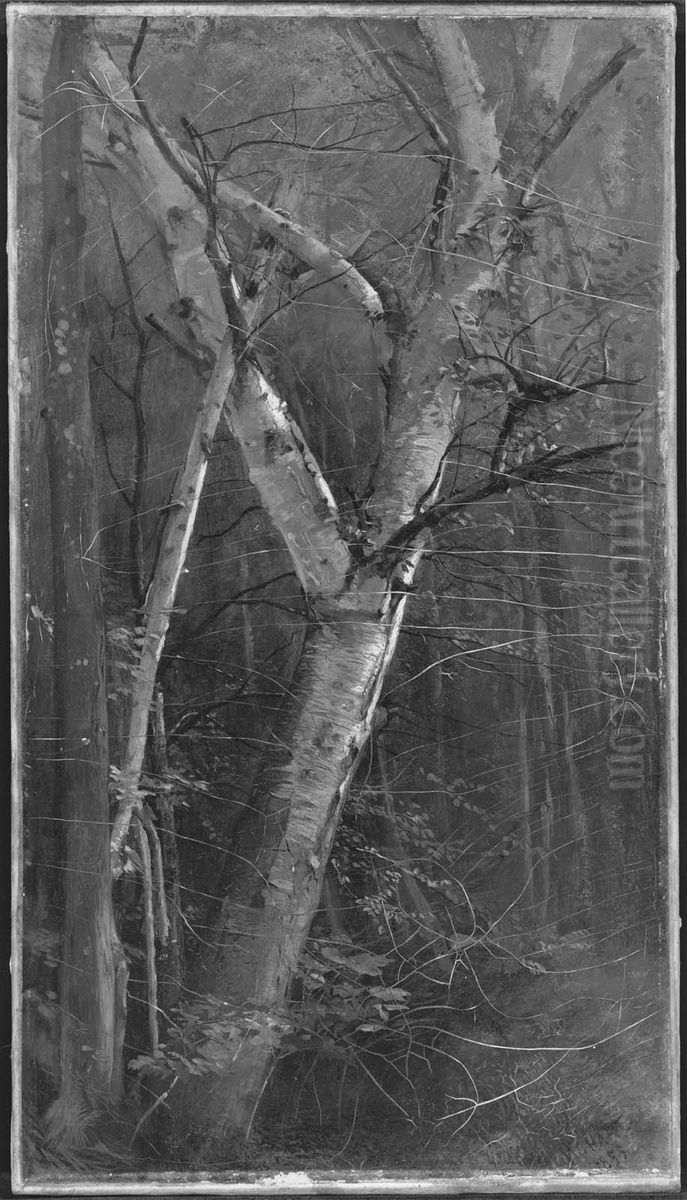 Birches Oil Painting by William Hart