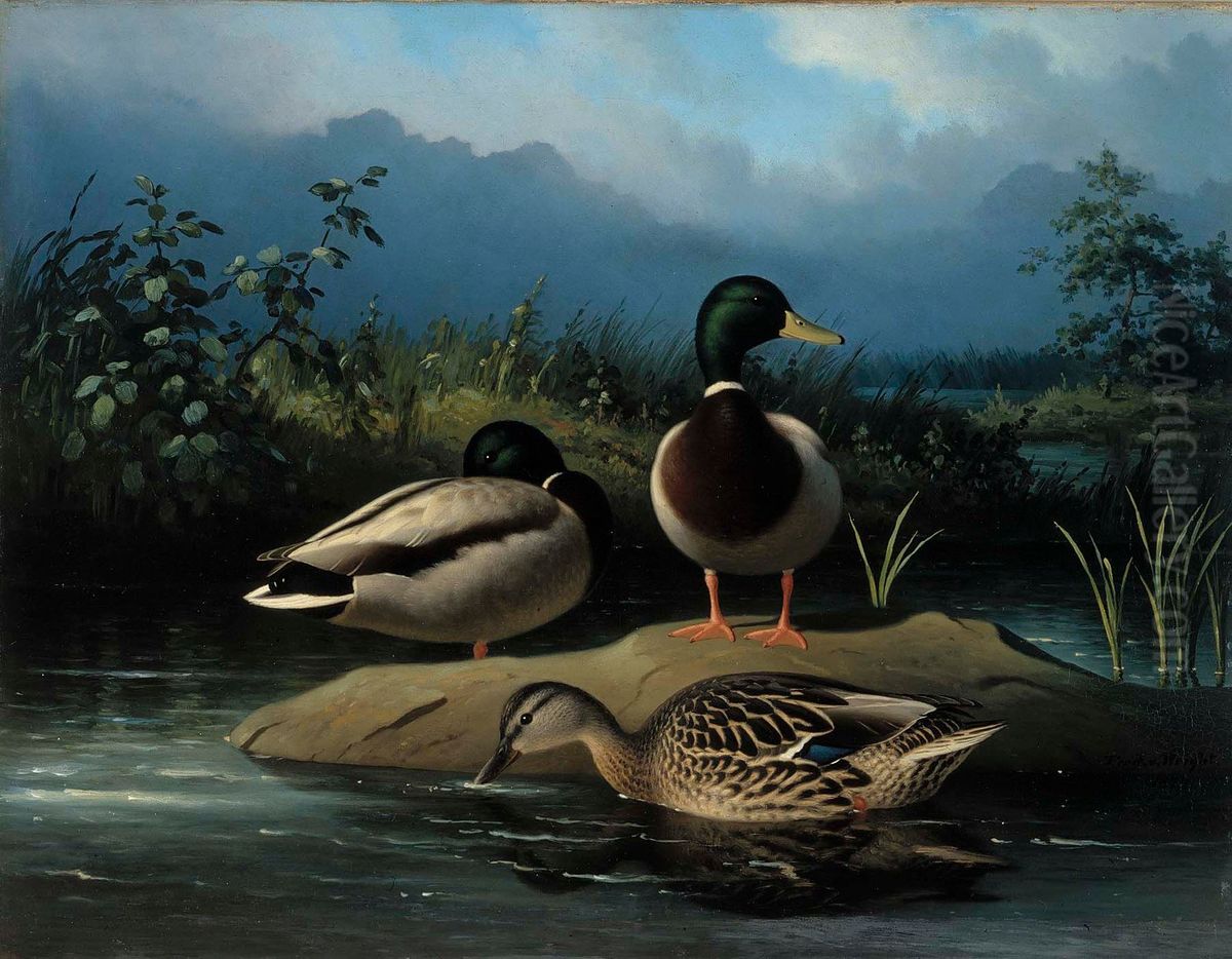 Mallards Oil Painting by Ferdinand von Wright