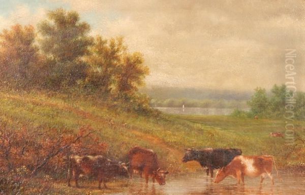 Cattle At The Stream Oil Painting by John William Casilear