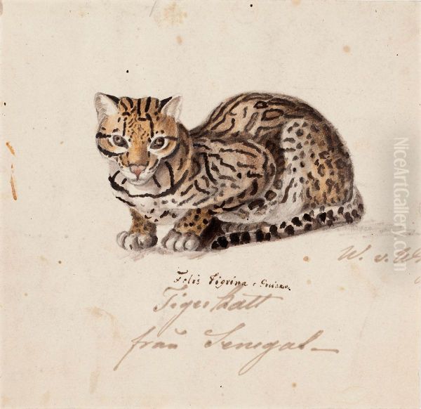 Tiger Cat Oil Painting by Wilhelm Von Wright