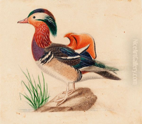 Male Mandarin Duck Oil Painting by Ferdinand von Wright
