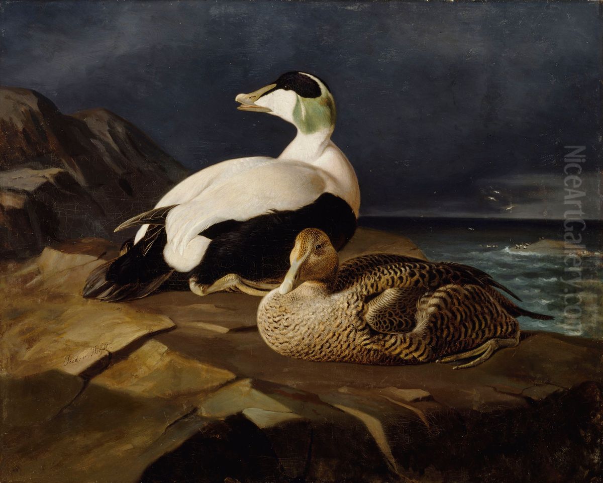 Pair of Common Eiders on a Rock Oil Painting by Ferdinand von Wright
