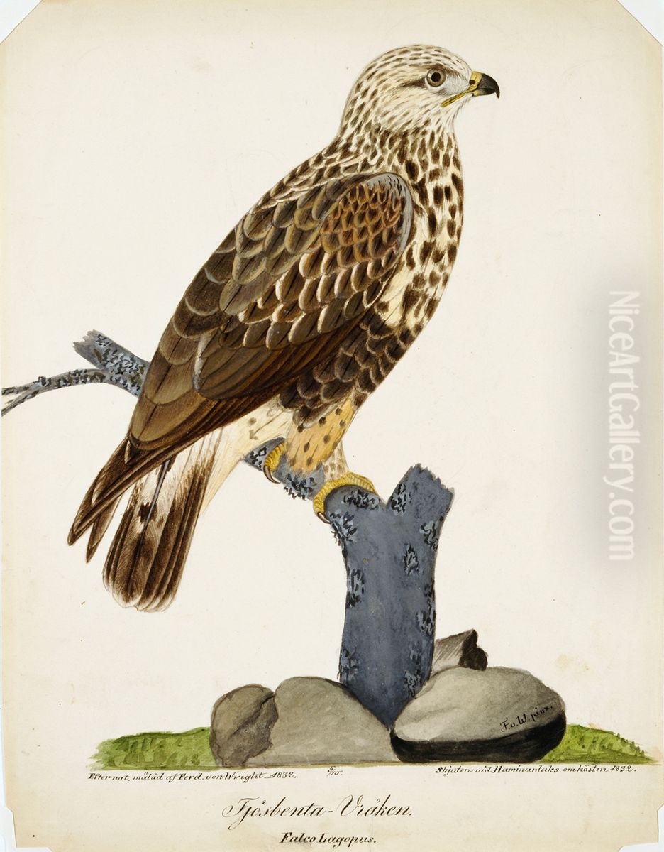 Rough-Legged Buzzard Oil Painting by Ferdinand von Wright