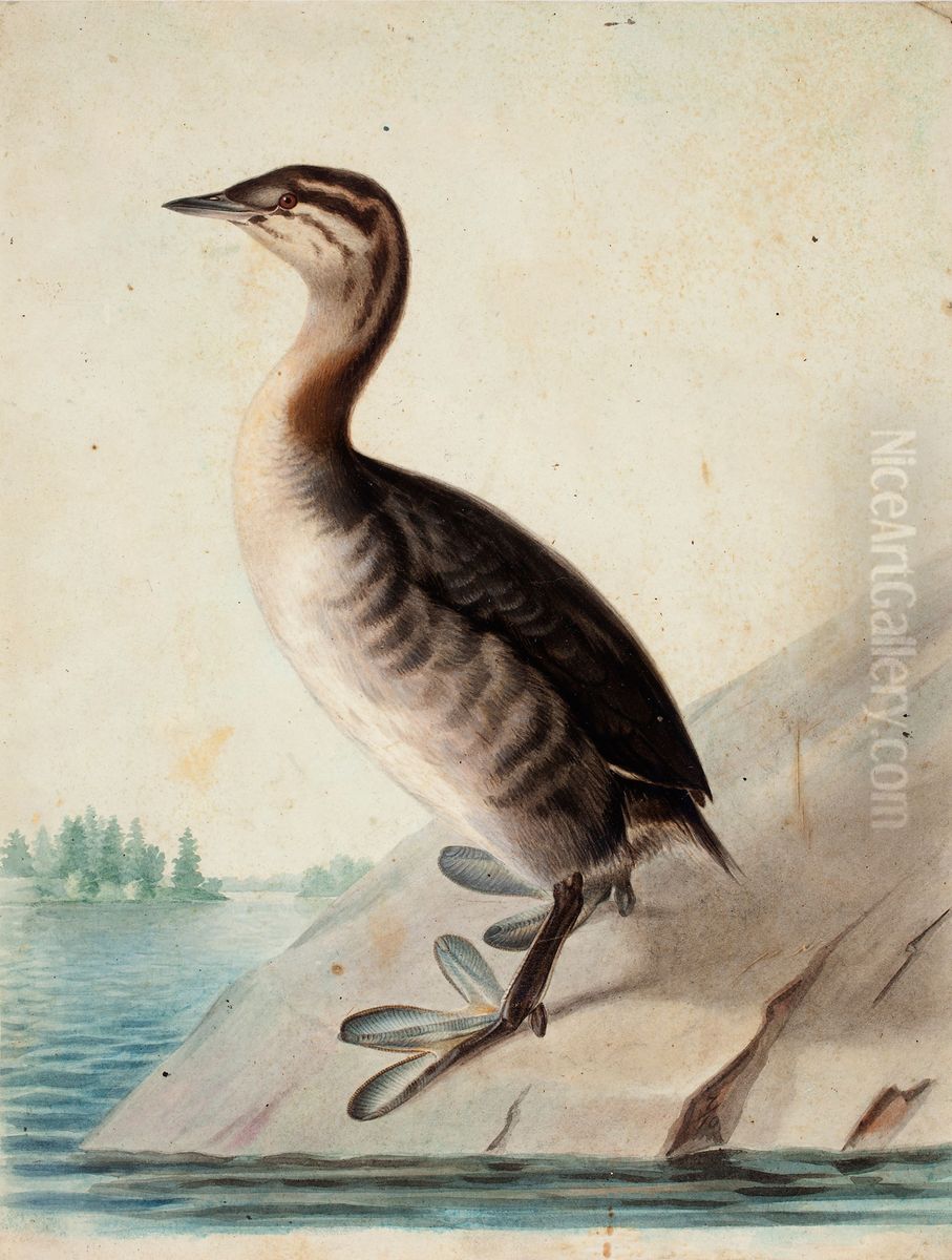 Young Horned Grebe Oil Painting by Wilhelm Von Wright