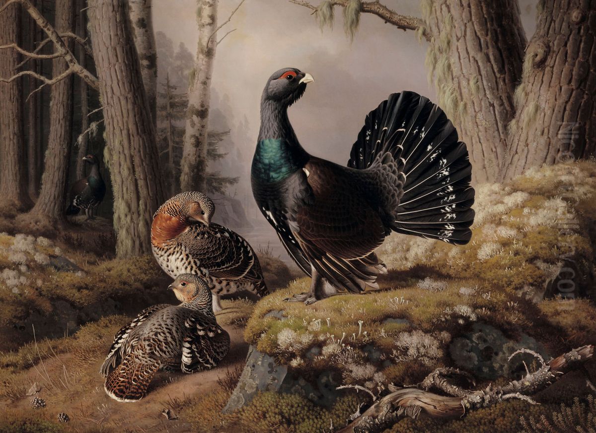 Capercaillies courting Oil Painting by Ferdinand von Wright