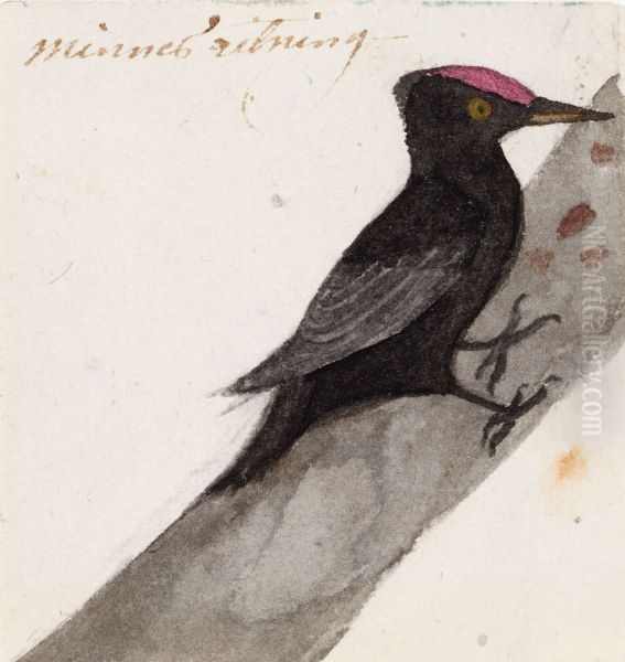 The Great Black Woodpecker Oil Painting by Ferdinand von Wright