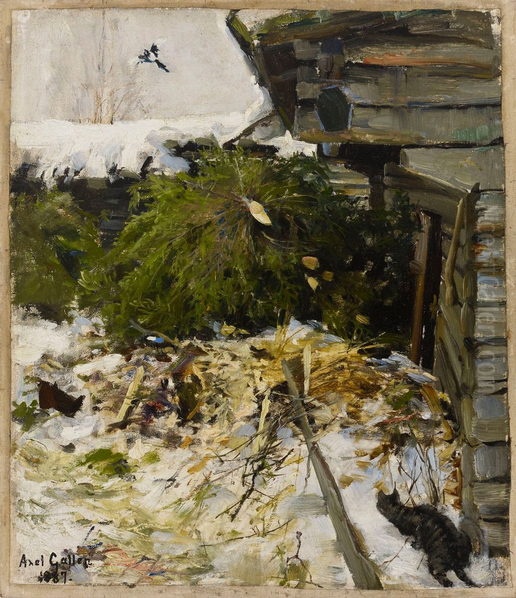 Fagard med granar ; Bakgard med granar Oil Painting by Akseli Valdemar Gallen-Kallela