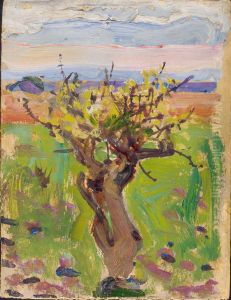 Dwarf Tree in the Desert