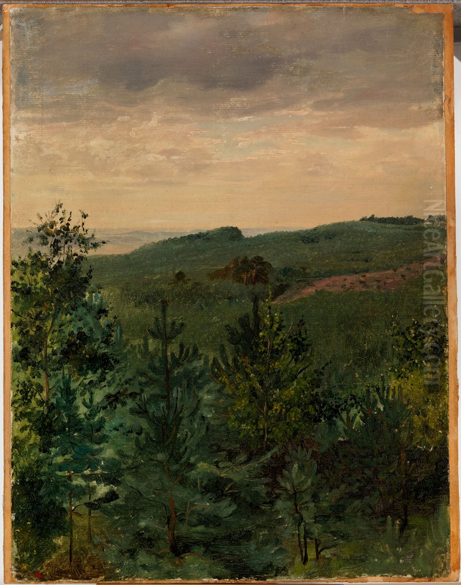 Spruce Saplings in Sandy Soil, Study Oil Painting by Werner Holmberg