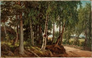 Forest Landscape from Haminalahti