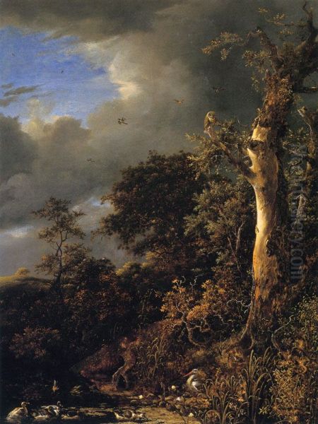 Oak and Thicket at a Pool (Woodland Pond) Oil Painting by Jacob Van Ruisdael