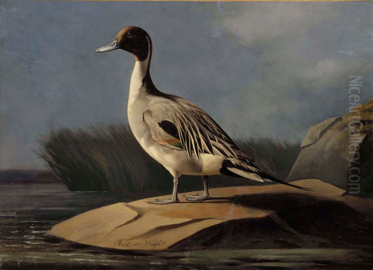 Pintail Duck Oil Painting by Ferdinand von Wright