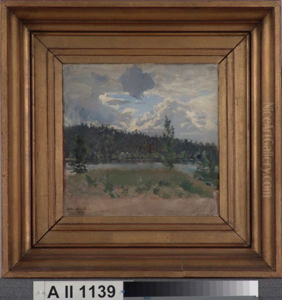Ljusglimt ur mol, sommarlandskap Oil Painting by Akseli Gallen-Kallela