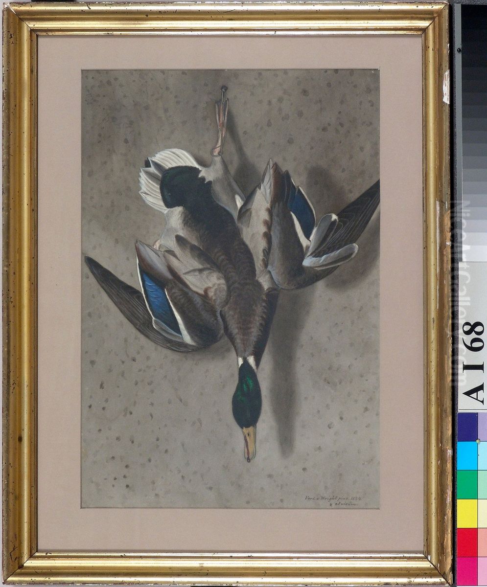 Riippuva sorsa Oil Painting by Ferdinand von Wright