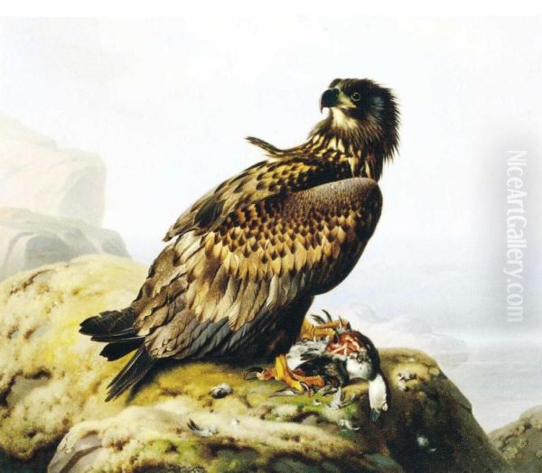 Merikotka kalliolla Oil Painting by Ferdinand von Wright