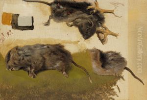 Rodents