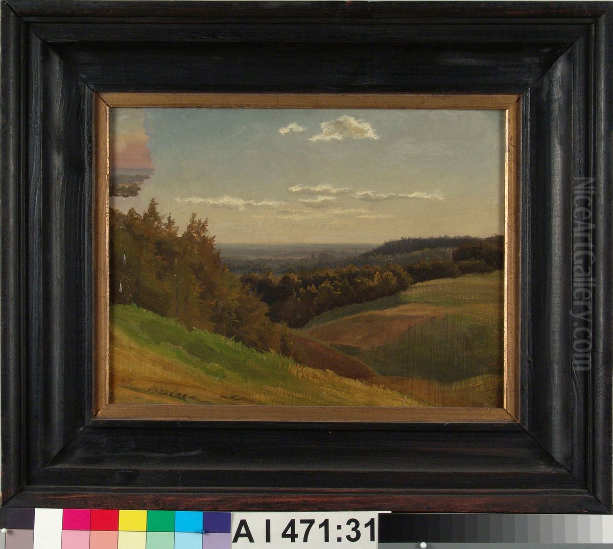 Laaja nakoala, harjoitelma Oil Painting by Werner Holmberg