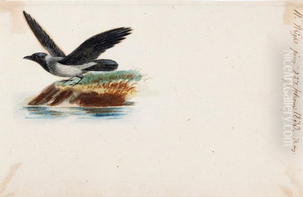 Crow Oil Painting by Wilhelm Von Wright