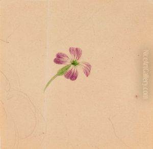 Violetti ristikukkainen