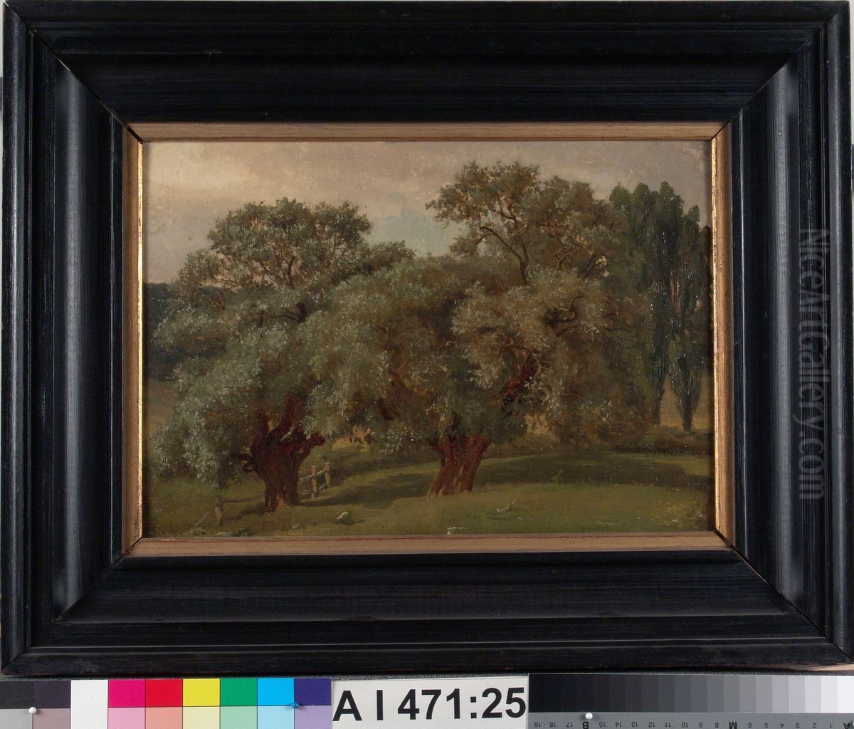 Vanhoja puita, harjoitelma Oil Painting by Werner Holmberg