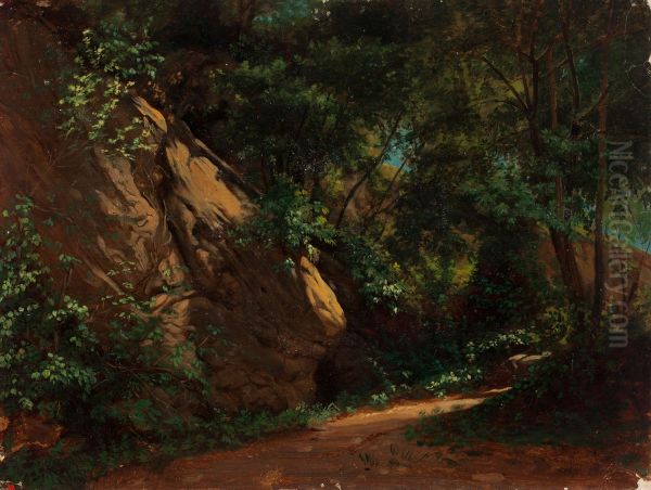 Landscape Study Oil Painting by Nils Blommer