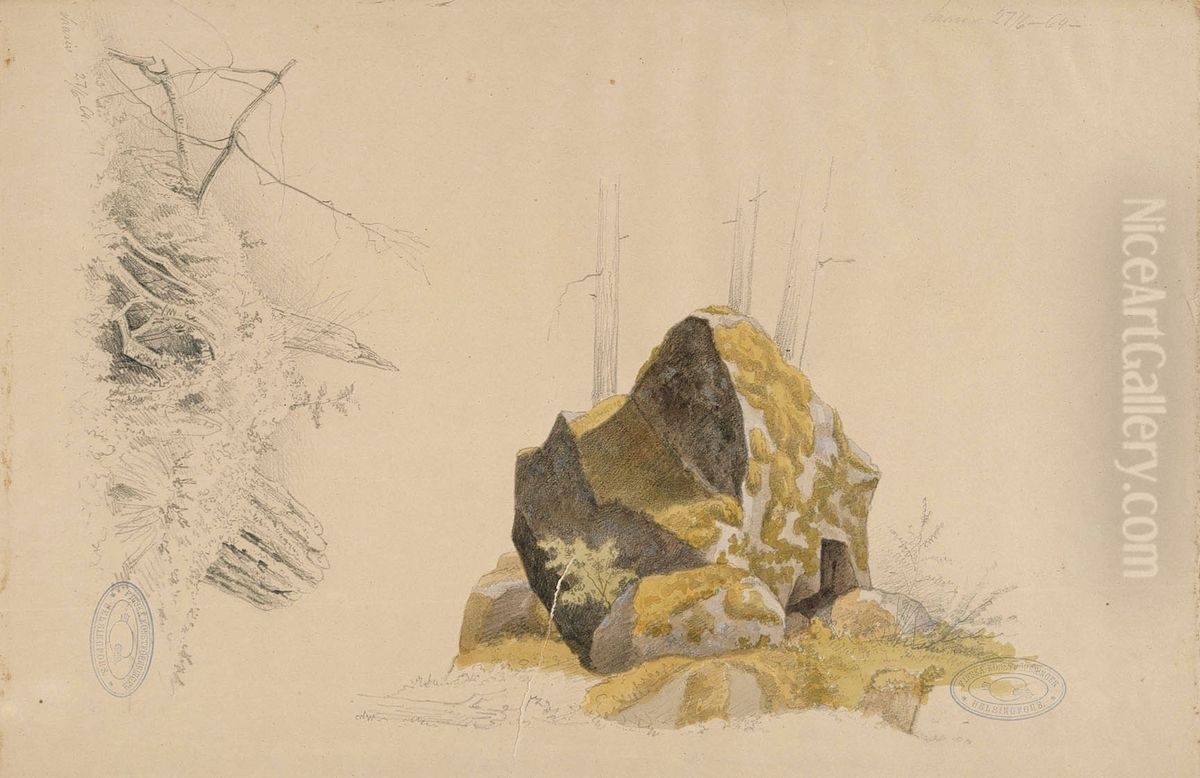 Sammaloitunut kivi ja vanha kanto, kaksi harjoitelmaa Oil Painting by Magnus Von Wright