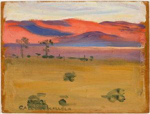 Sunset on the Savannah