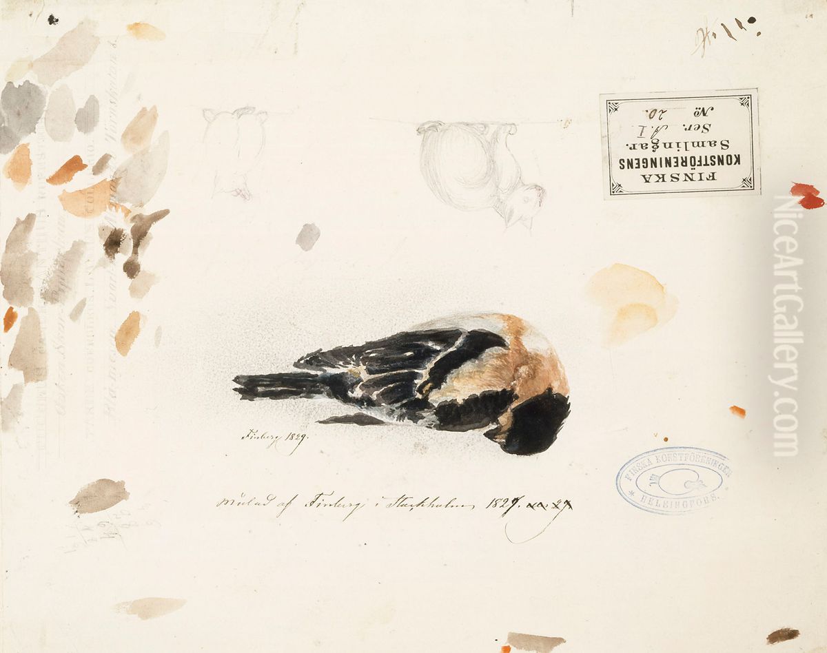 Kuollut pikkulintu Oil Painting by Gustaf Wilhelm Finnberg