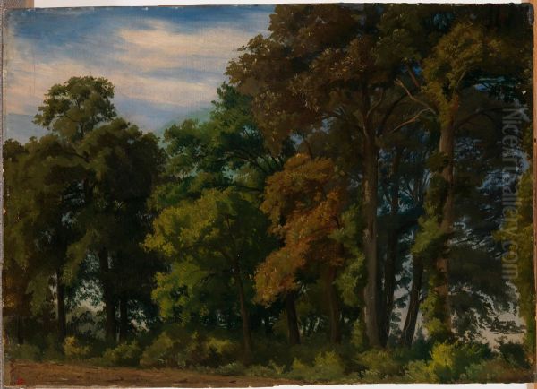 Landscape in Germany, Study Oil Painting by Werner Holmberg