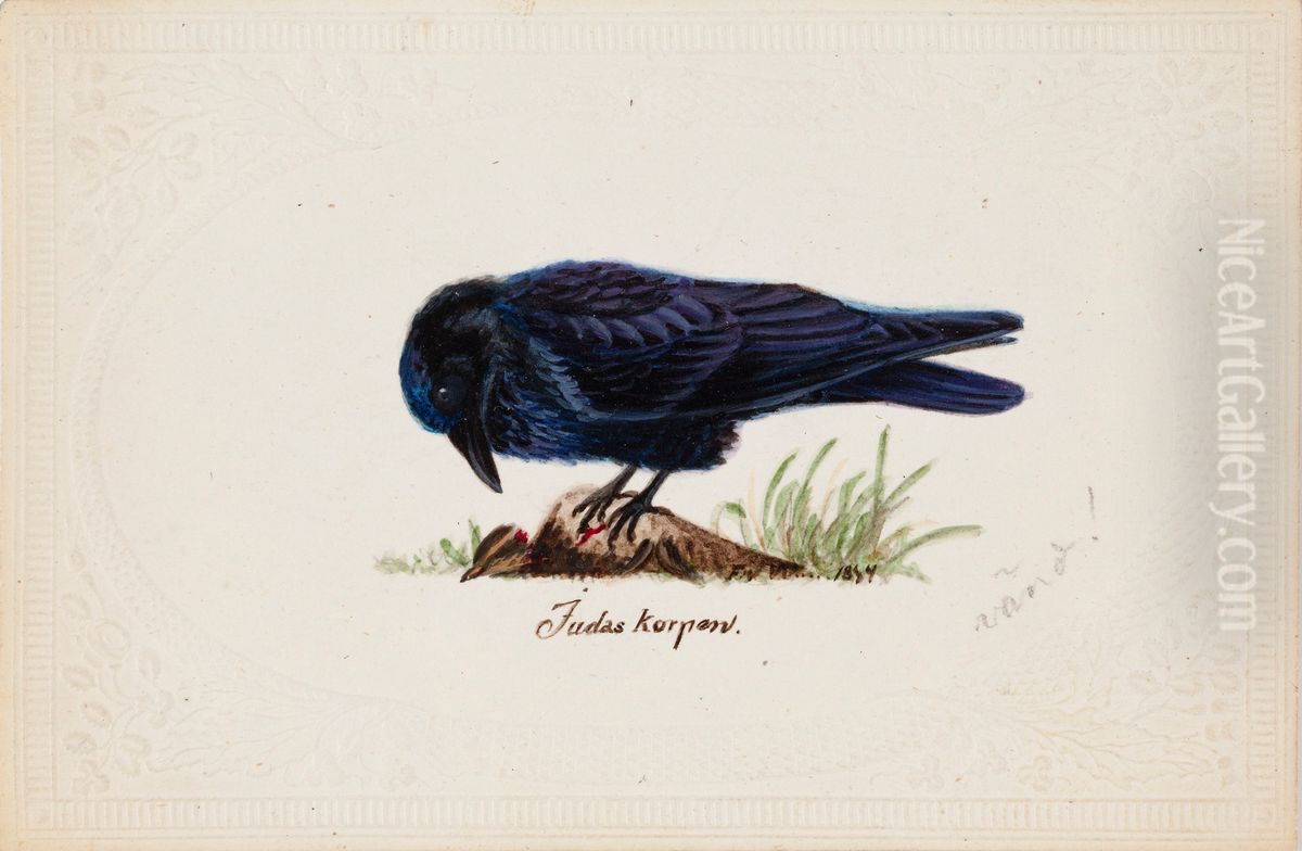 Tame Raven 