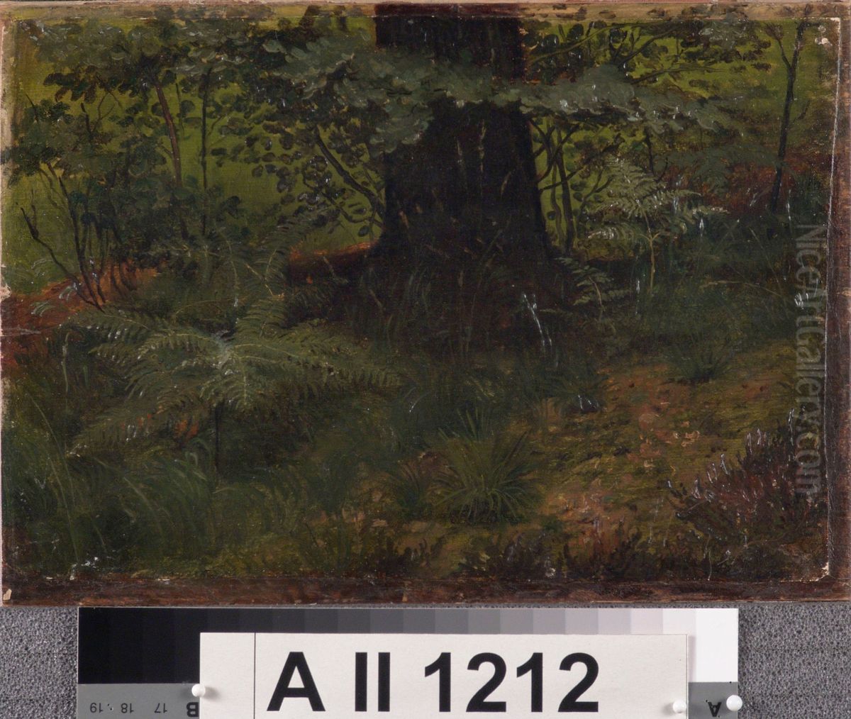 Puunrunko ja aluskasvillisuutta, harjoitelma Oil Painting by Werner Holmberg