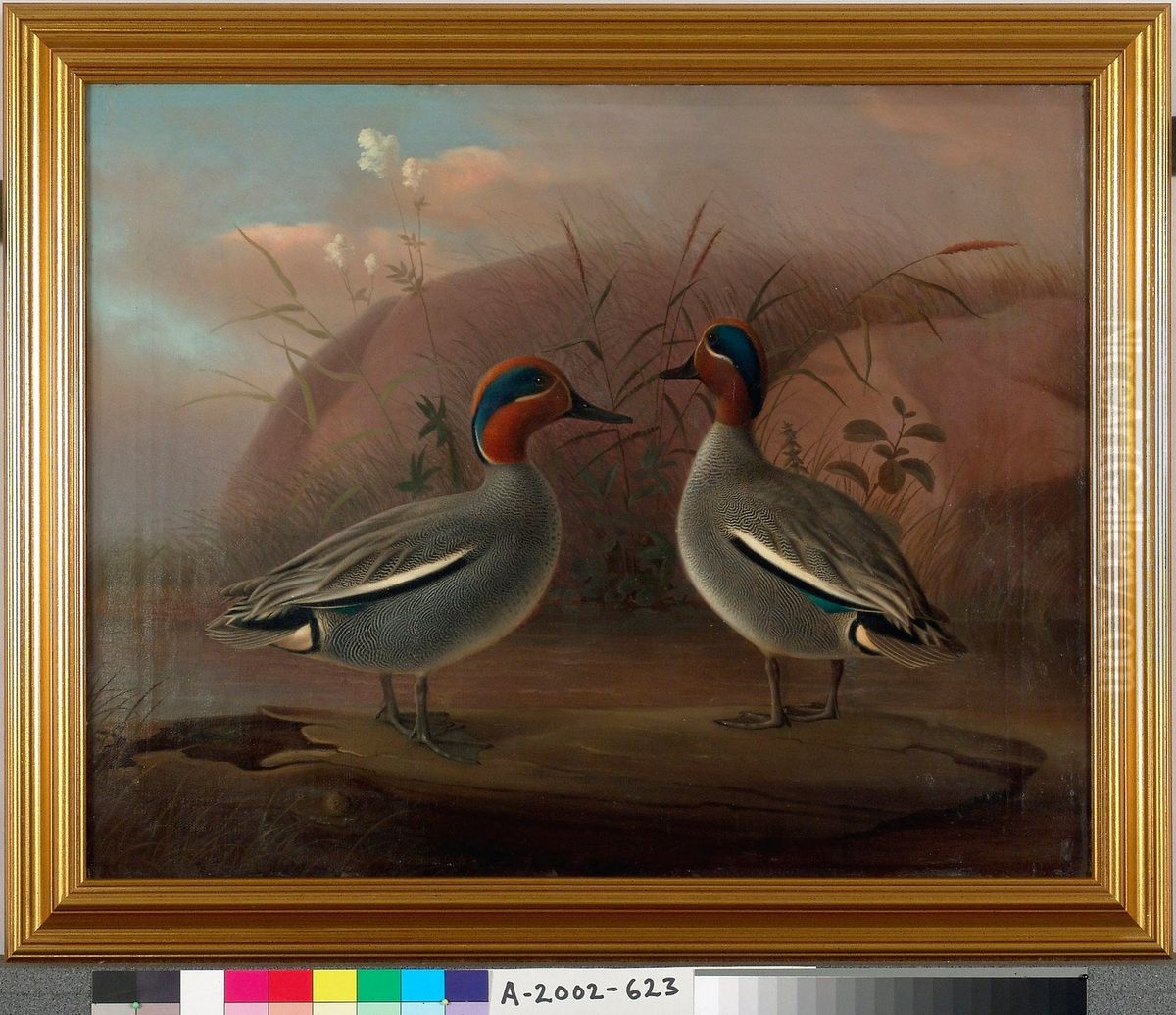 Two Male Teals by the Water Oil Painting by Ferdinand von Wright