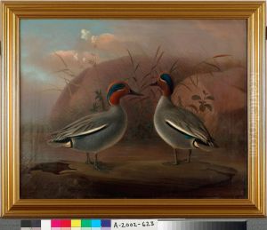 Two Male Teals by the Water