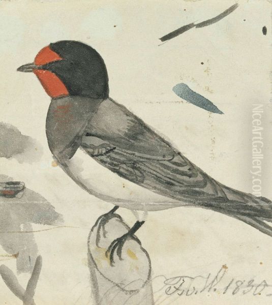 Barn Swallow Oil Painting by Ferdinand von Wright