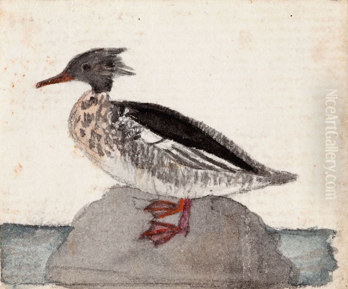 Red-Breasted Merganser Oil Painting by Ferdinand von Wright