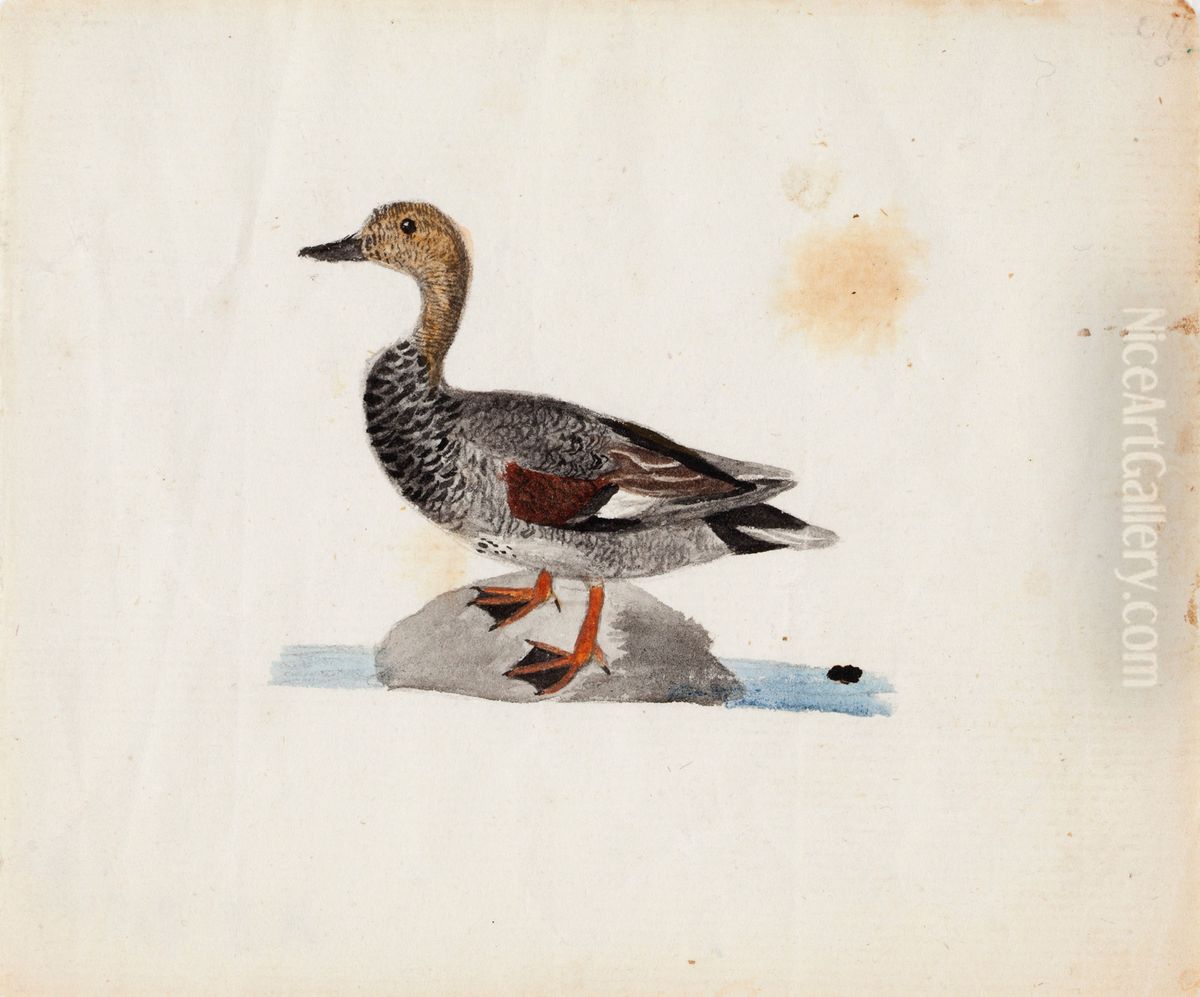 Gadwall Oil Painting by Ferdinand von Wright