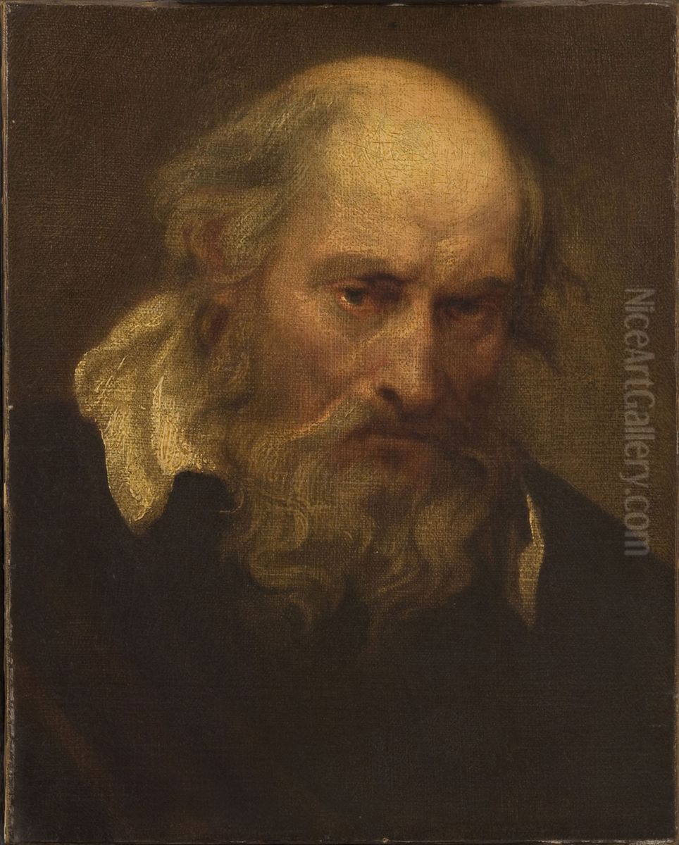 Head of an Old Man Oil Painting by Sir Anthony Van Dyck