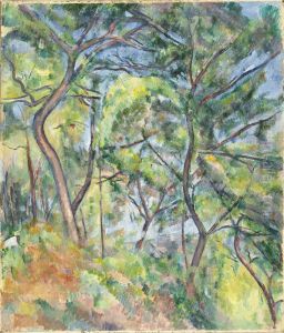 Undergrowth