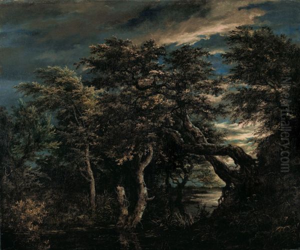 A Marsh in a Forest at Dusk Oil Painting by Jacob Van Ruisdael