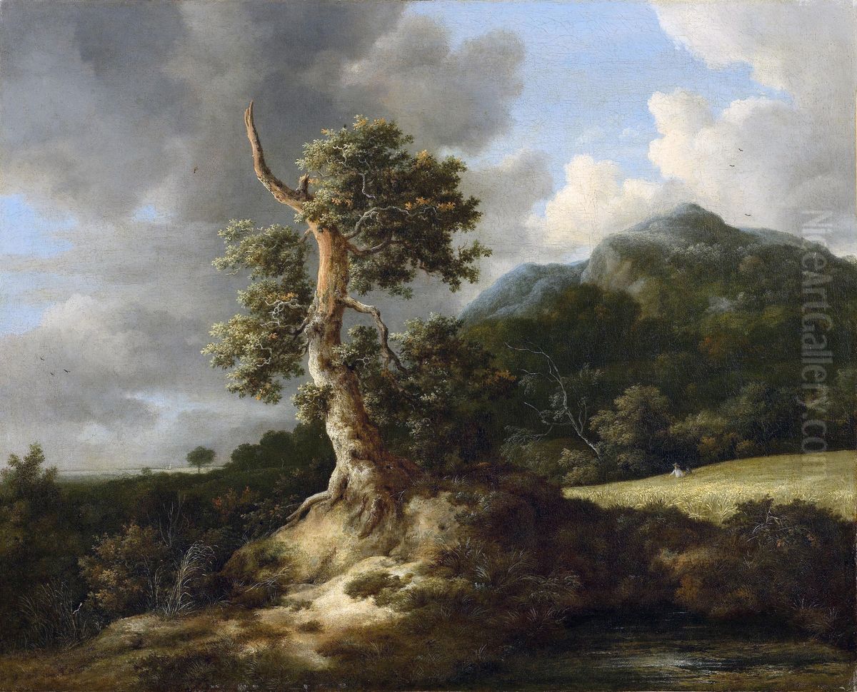 Rolling landscape with an oak before a cornfield Oil Painting by Jacob Van Ruisdael