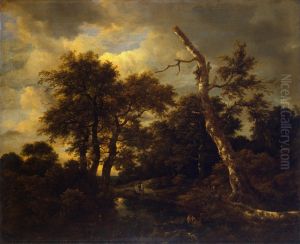 Rivulet in a forest