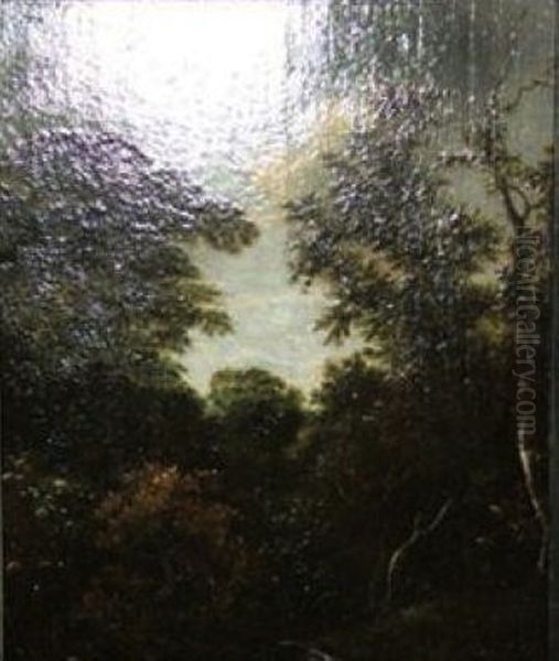 Boslandschap Oil Painting by Jacob Van Ruisdael