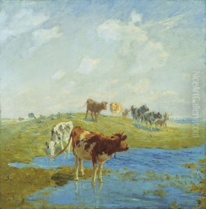 Hojvande