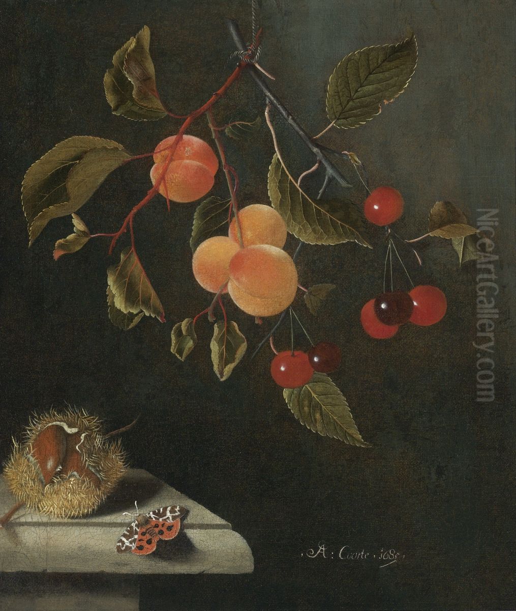 Stilleven met abrikozen, kersen en een walnoot Oil Painting by Adriaen Coorte