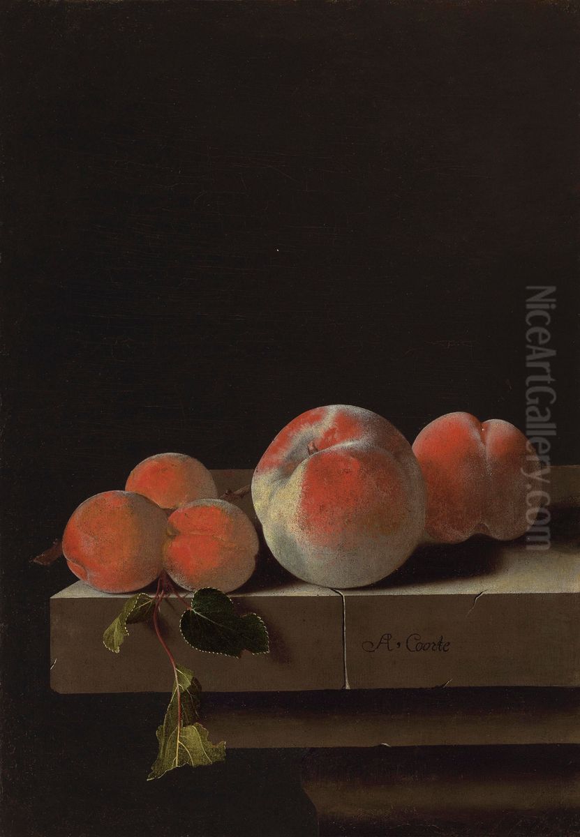 Stilleven met perziken en abrikozen Oil Painting by Adriaen Coorte