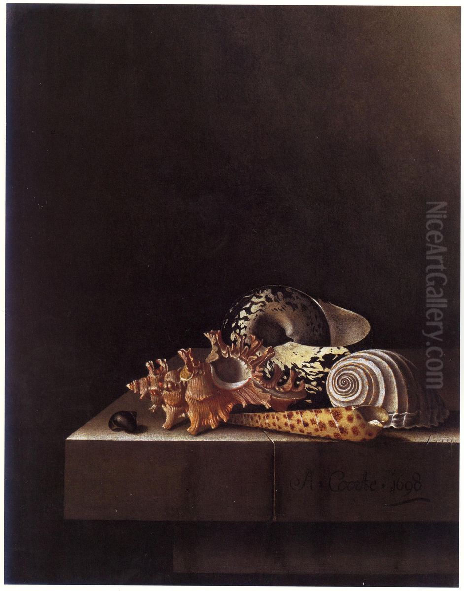 Still Life with Shells Oil Painting by Adriaen Coorte