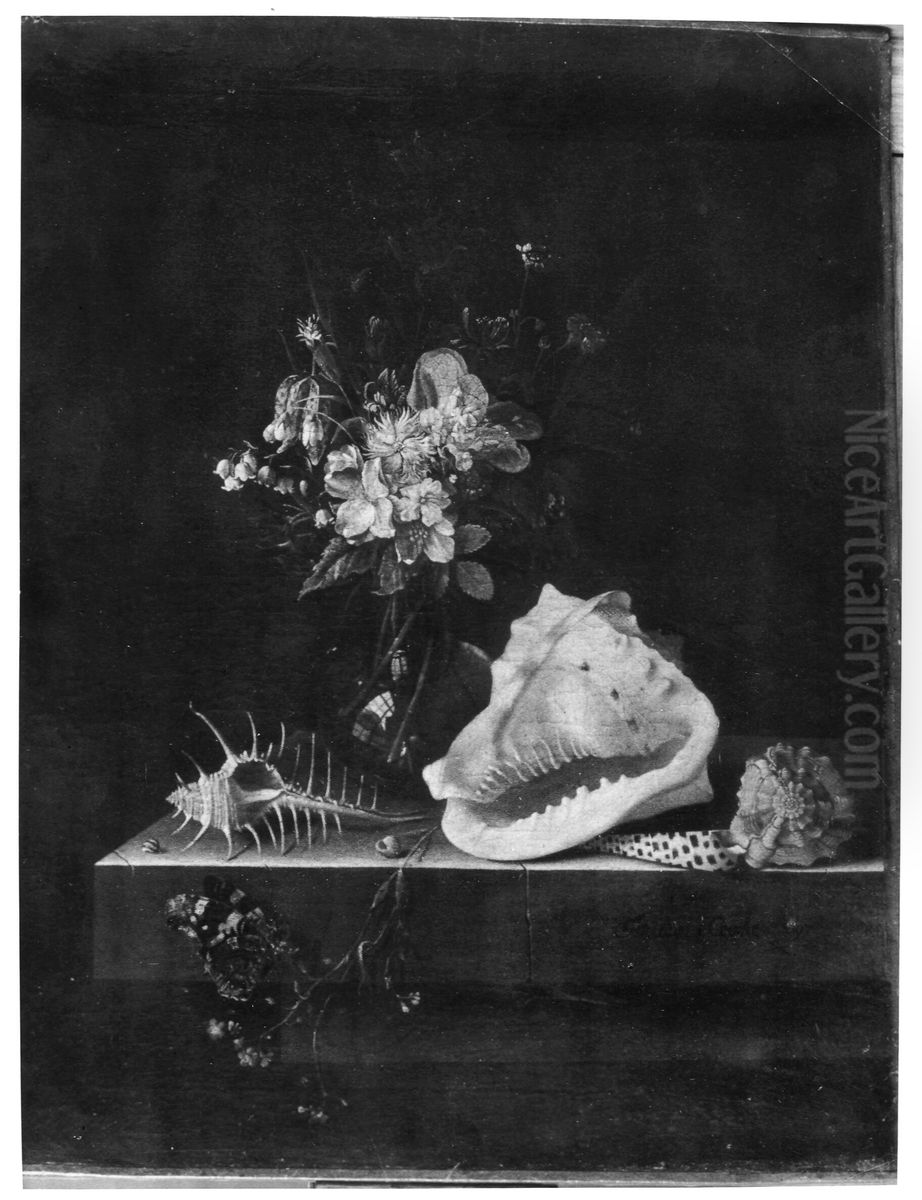 Still life with flowers, shells and a butterfly Oil Painting by Adriaen Coorte